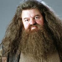 Rubeus Hagrid